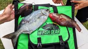 First Time Spearfishing In Years! - Hawaii Diving Catch and Cook