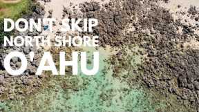 Oahu’s North Shore Things to Do for a Perfect Day | North Shore Beaches, Snorkeling, & Shrimp Trucks