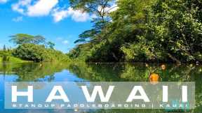 Relaxing river paddle boarding adventure | On Hawaii Time | KAUAI HAWAII