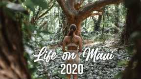 Life on Maui 2020 | Introduction