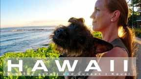 Join us for an evening stroll | On Hawaii Time | KAUAI HAWAII