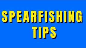 Spearfishing Tips/Subscriber HANGOUT