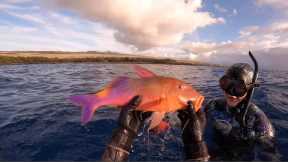 Hawaii Spearfishing 2020 - Back On Big Island
