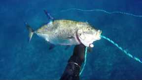 Hawaii Spearfishing - Summer 2019