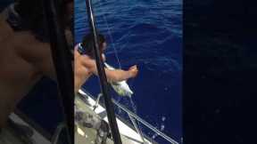 Large Omilu Fishing Off The Boat In Hawaii #shorts