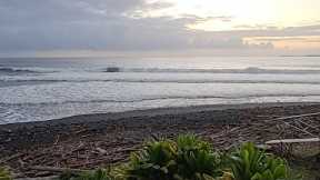 Live Surfing Hawaii Honoli'i Beach Park