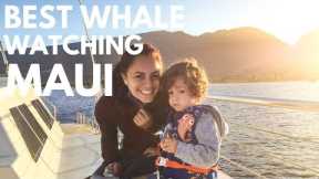 7 Tips for Maui Whale Watching | Whale Watching in Hawaii Has Never Been Better (plus 10% off)