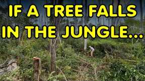 If a Tree Falls in the Jungle does it land on the Camera? EPIC FAIL