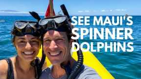 Snorkeling on the Lanai, Hawaii Coast | spinner dolphins, sea turtles, and an epic day out in Hawaii