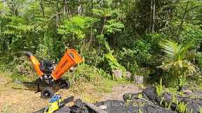 Live Jungle Clearing At The Lava Lot