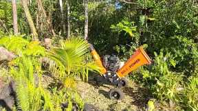 Live Hawaii Birds, Lava Lot And Wood Chipper