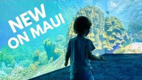 Just Opened on Maui: Hawai’i Wildlife Discovery Center #shorts
